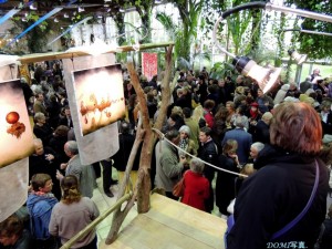 554697_10200612859475497_1136503753_n[1]